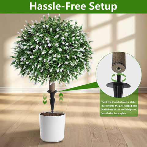 HyeFlora indoor topiary adds greenery to office or living spaces.