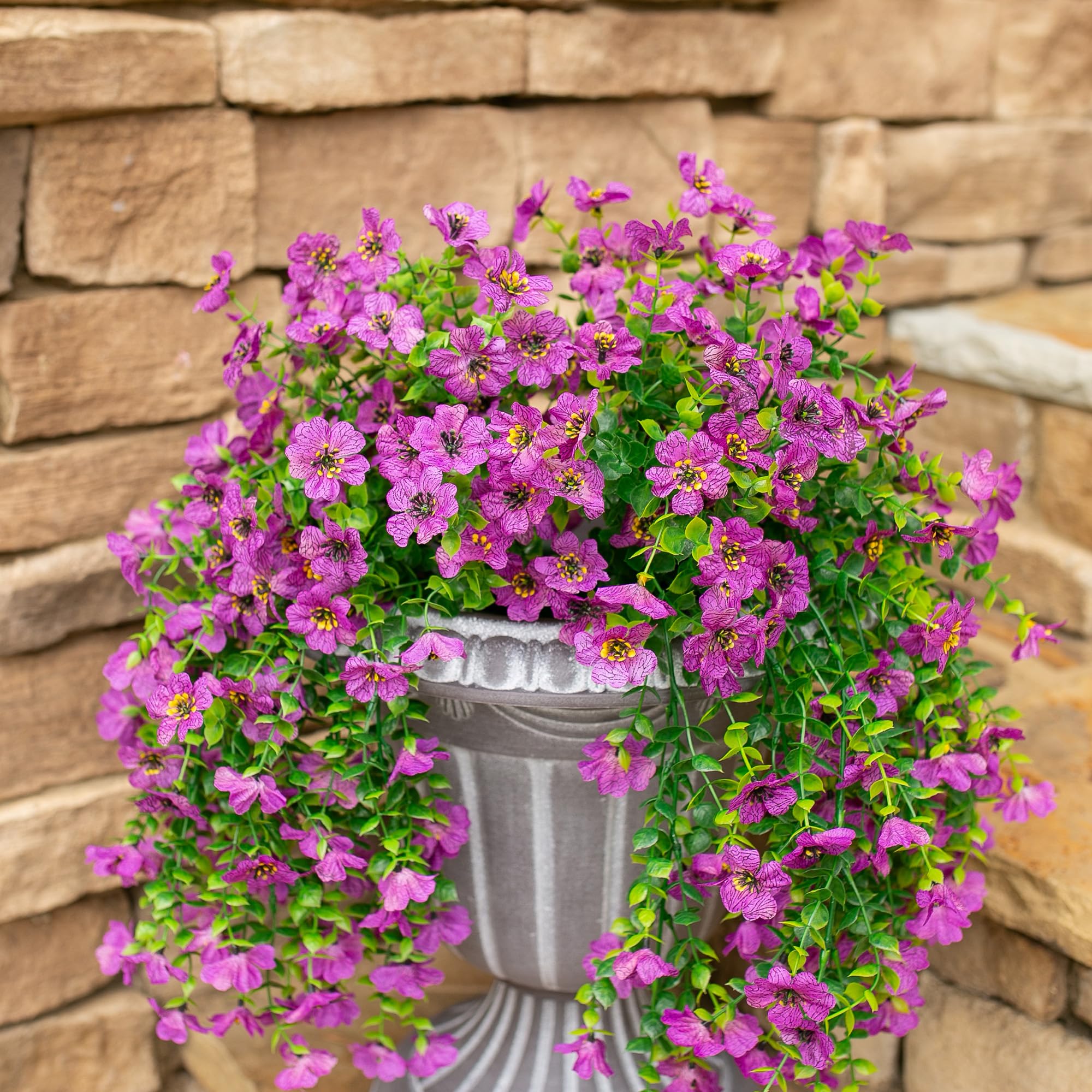HyeFlora purple outdoor flowers for garden entrances and display