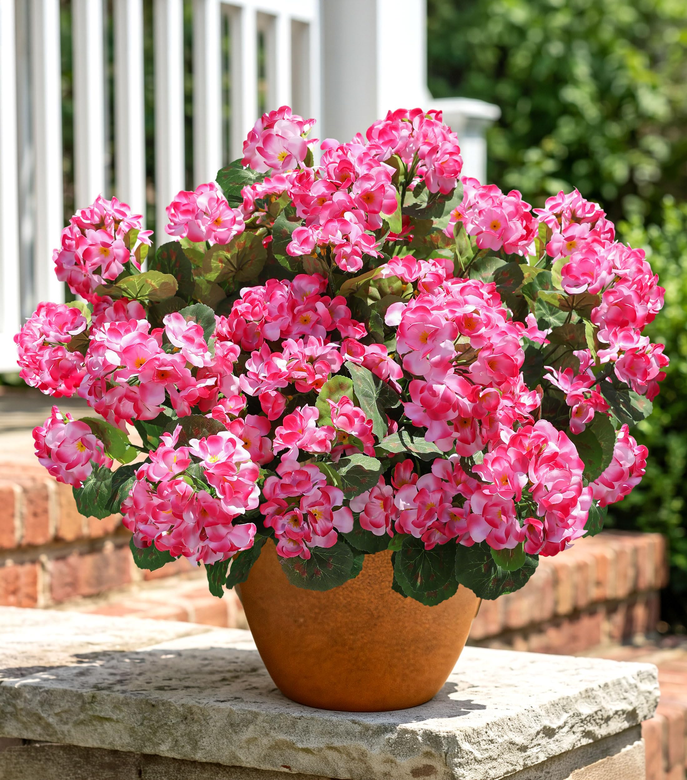 HyeFlora outdoor UV-resistant geraniums provide durable color for garden borders.