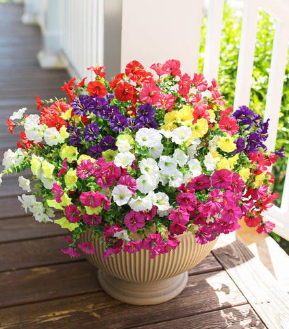 HyeFlora silk morning glory closeup adds realistic color to spaces.
