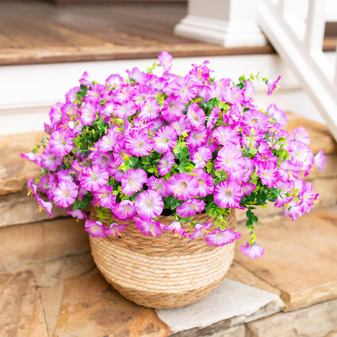HyeFlora twelve-bundle pack for versatile outdoor arrangements.