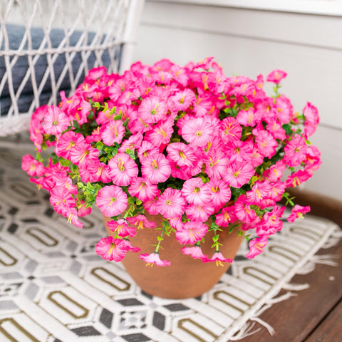 HyeFlora elegant pink arrangements for front yards and balconies.
