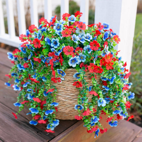 HyeFlora vivid color daisy-like blooms enhance any outdoor space.