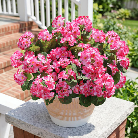 HyeFlora geraniums are ideal for events like weddings and receptions.
