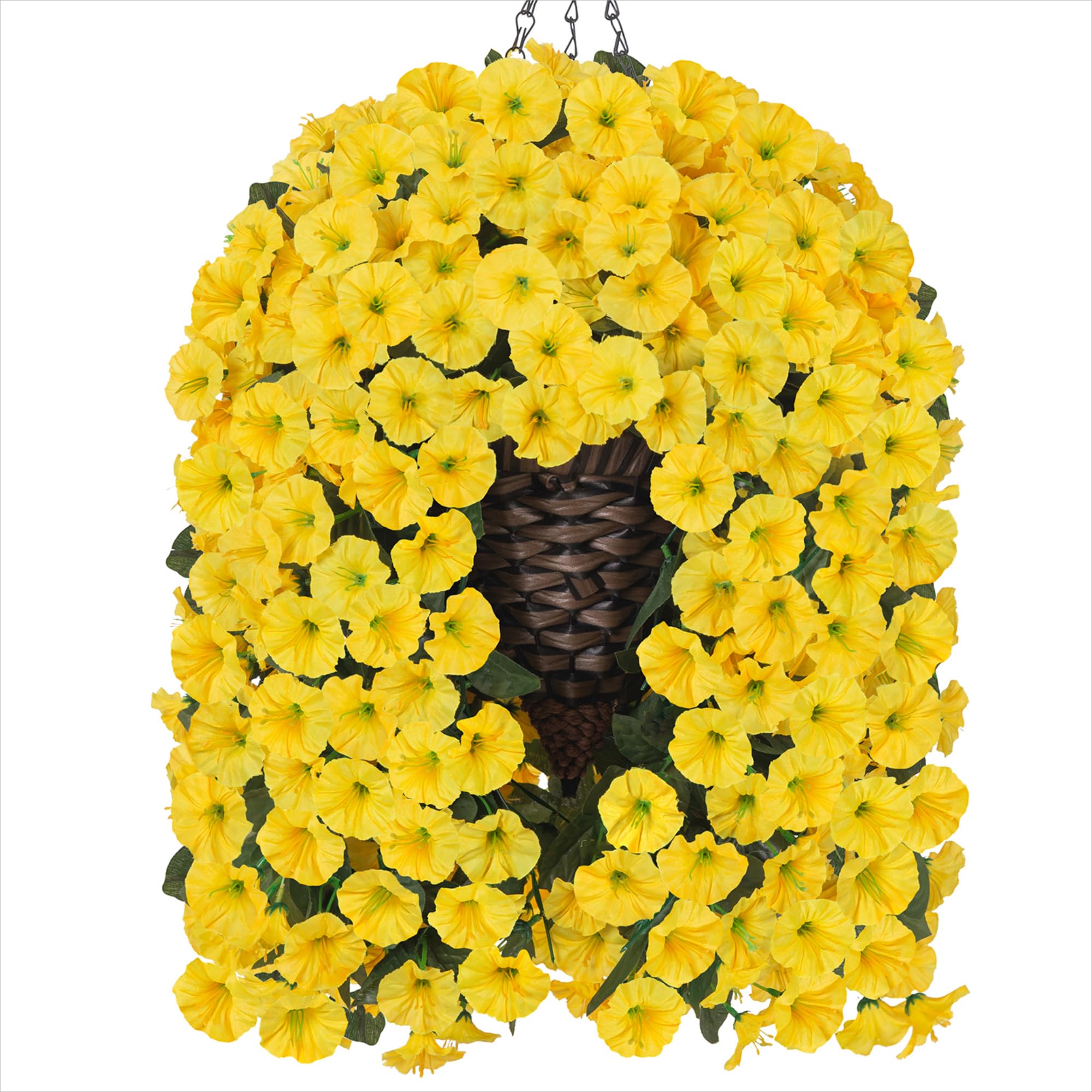HyeFlora year-round blooming accent for indoor spaces