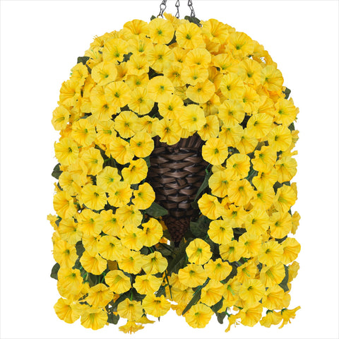 HyeFlora year-round blooming accent for indoor spaces