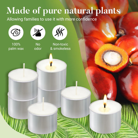 Hypmis unscented wick tea candle delivering steady, low-smoke light.