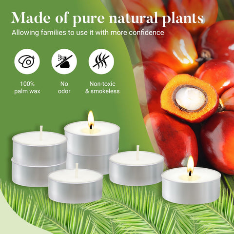 Hypmis white palm wax tea lights offer a clean burn