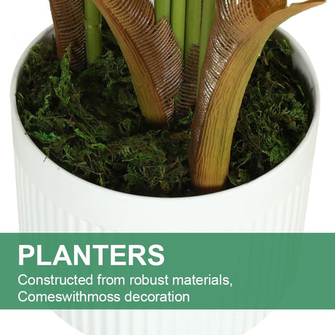 HZXGCP tall faux palm with dense leaves creates a bold indoor focal point