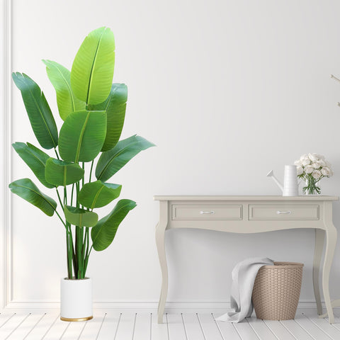 HZXGCP Bird of Paradise ideal for indoor living rooms and offices.