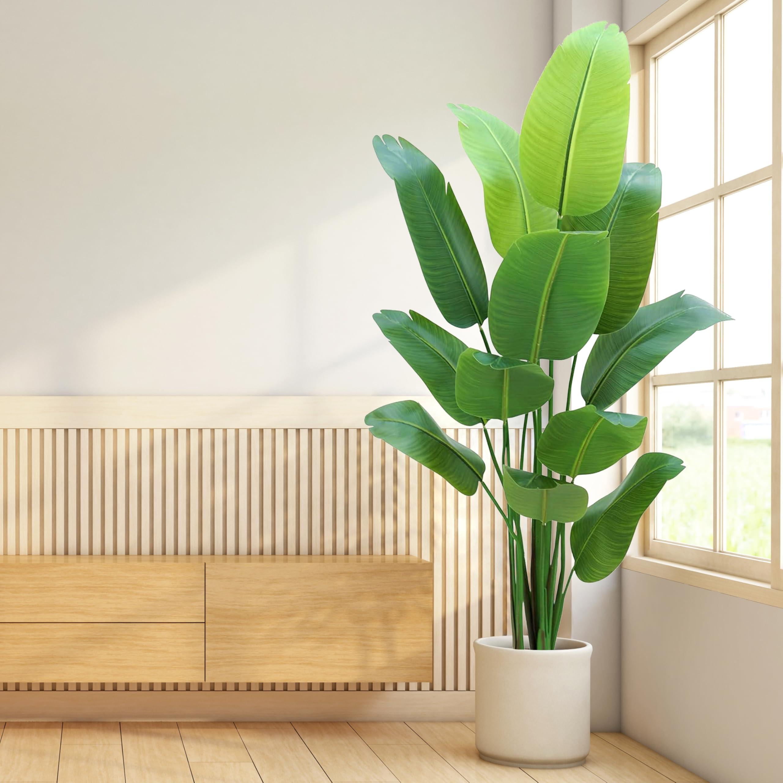 HZXGCP Bird of Paradise sturdy pot base prevents tipping for homes.