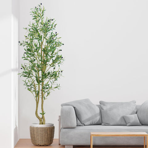 HZXGCP Olive Tree 6ft tall with natural silhouette for home or office.