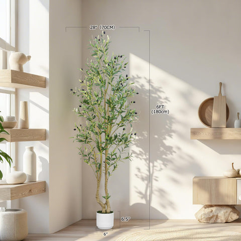 HZXGCP Olive Tree in a white pot adds clean, modern decor.