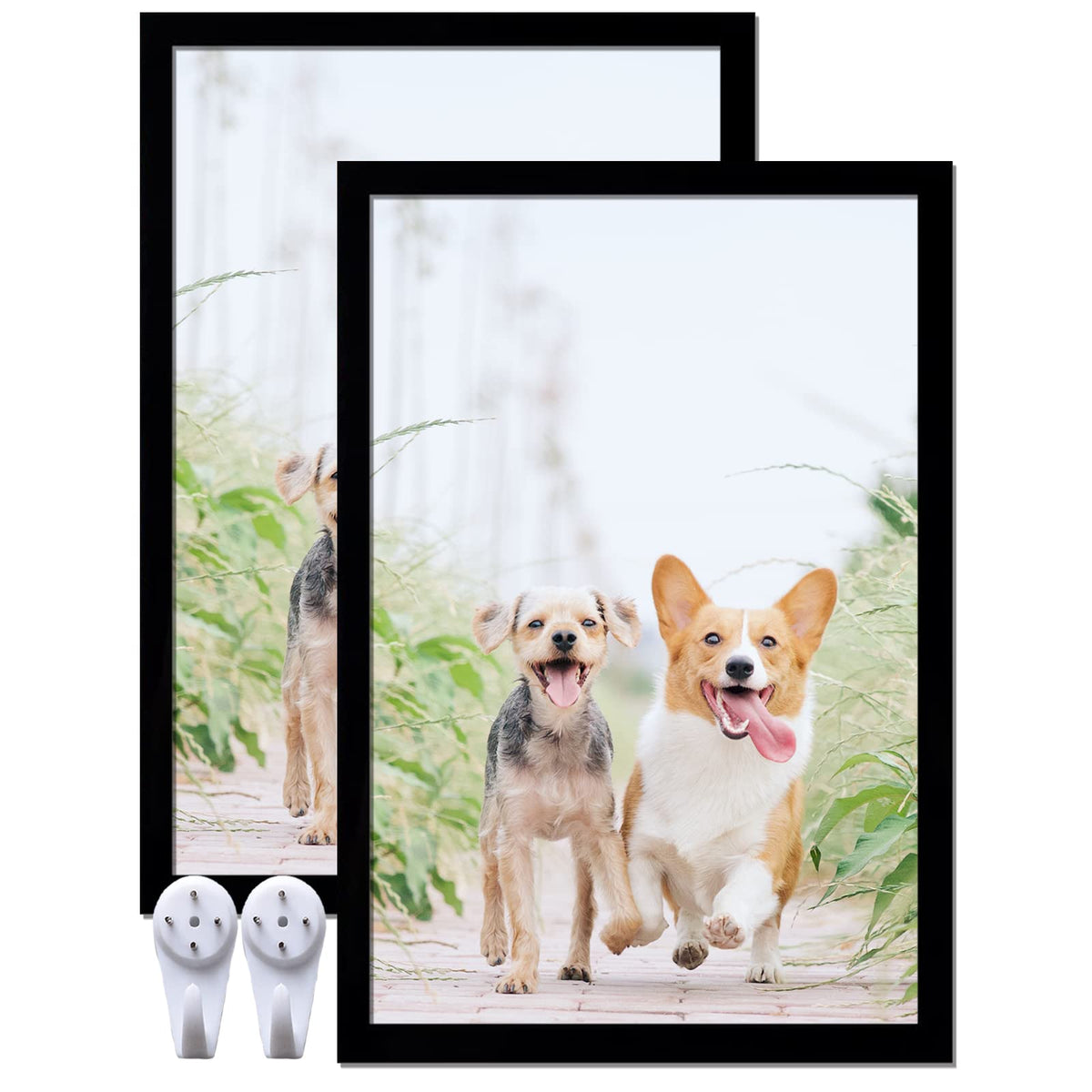 Icariery 16x24 frame set of 2, front view, sleek black border ready for wall display.