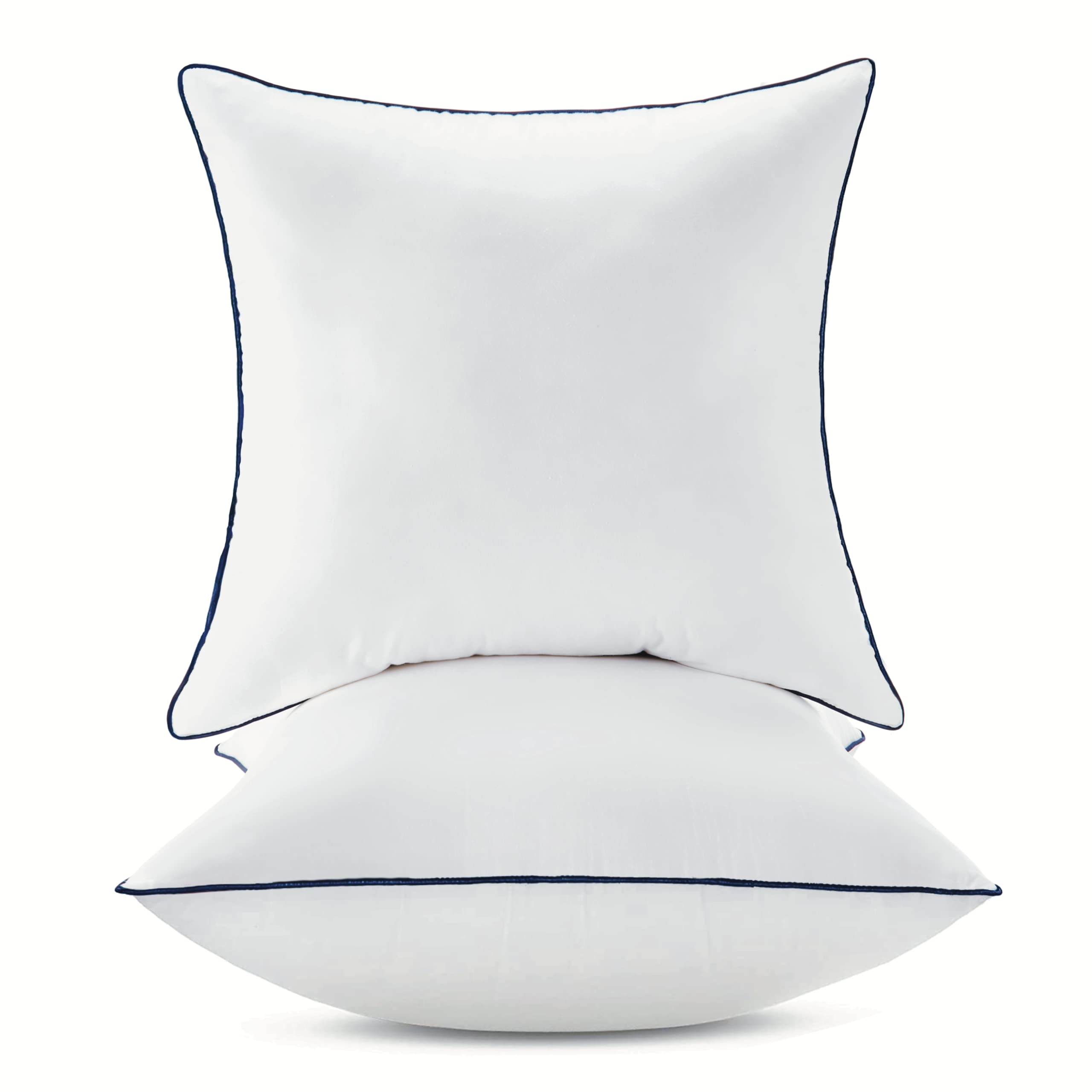 Ichrysania 20x20 pillow inserts pack for sofa styling and cozy support.