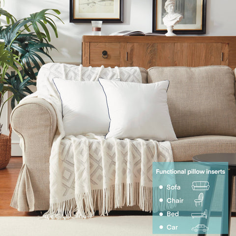 Ichrysania pillow insert in living room setup shows versatile decoration on sofa.