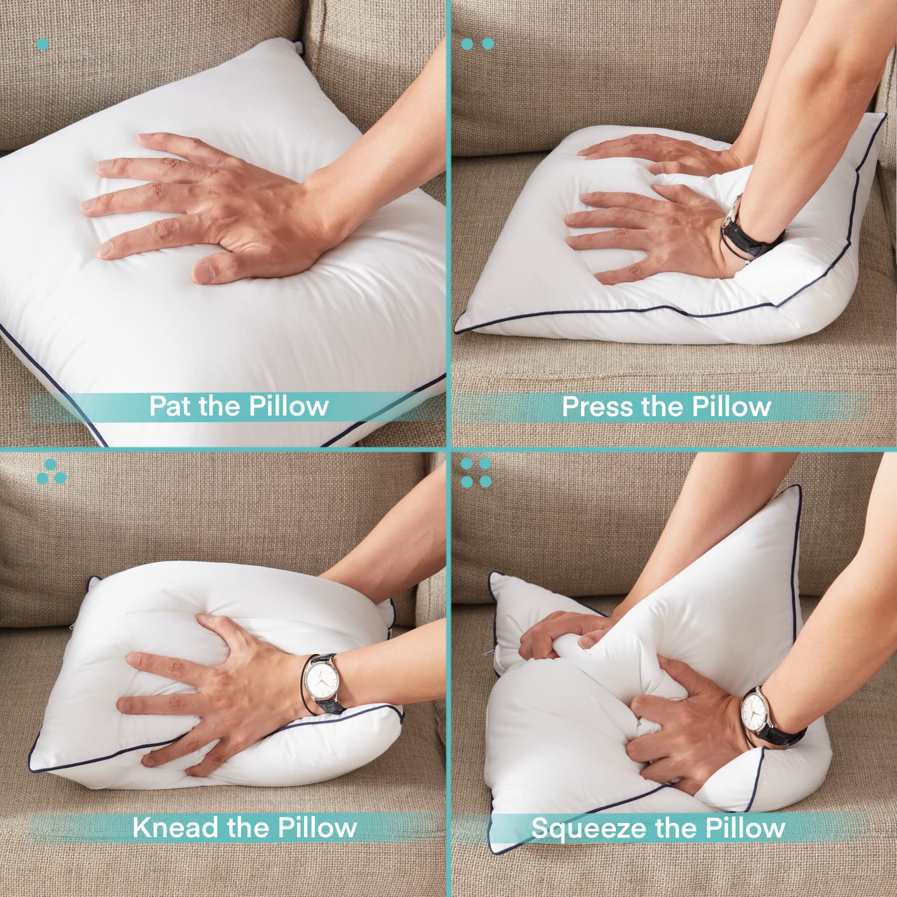 Ichrysania vacuum-packed shipping image demonstrates compact packaging.