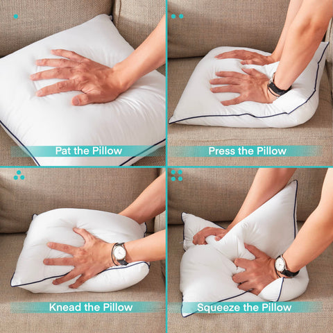 Ichrysania vacuum-packed shipping image demonstrates compact packaging.