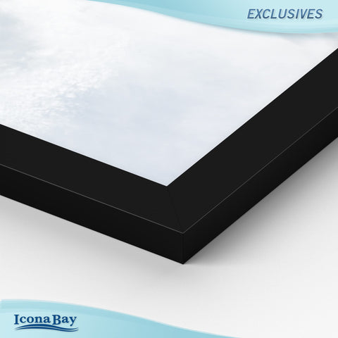 Icona Bay black 8x11 wall mount diploma frame for portrait or landscape use.