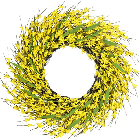 Idyllic 22-inch Forsythia wreath on front door with bright yellow blooms.