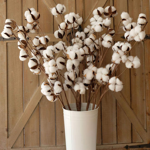Idyllic cotton stems with 12 boll accents ideal for wreaths or centerpieces