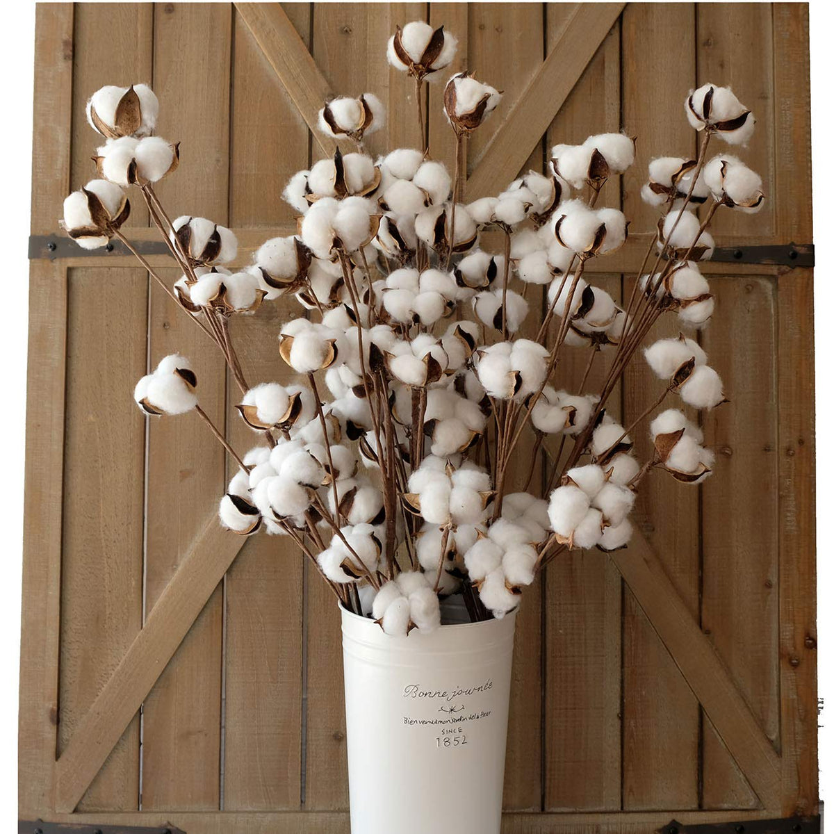 Idyllic cotton stems 31-inch tall display in a tall vase for rustic decor