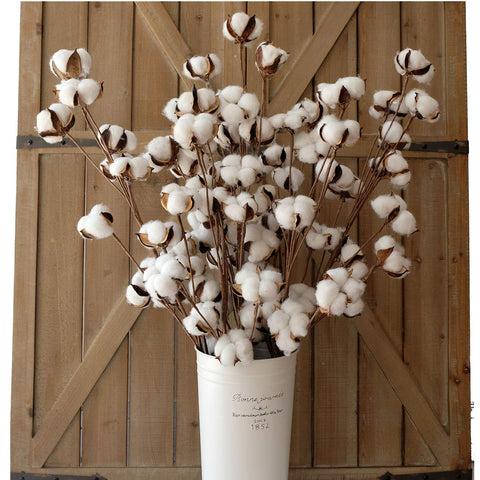 Idyllic cotton stems 31-inch tall display in a tall vase for rustic decor