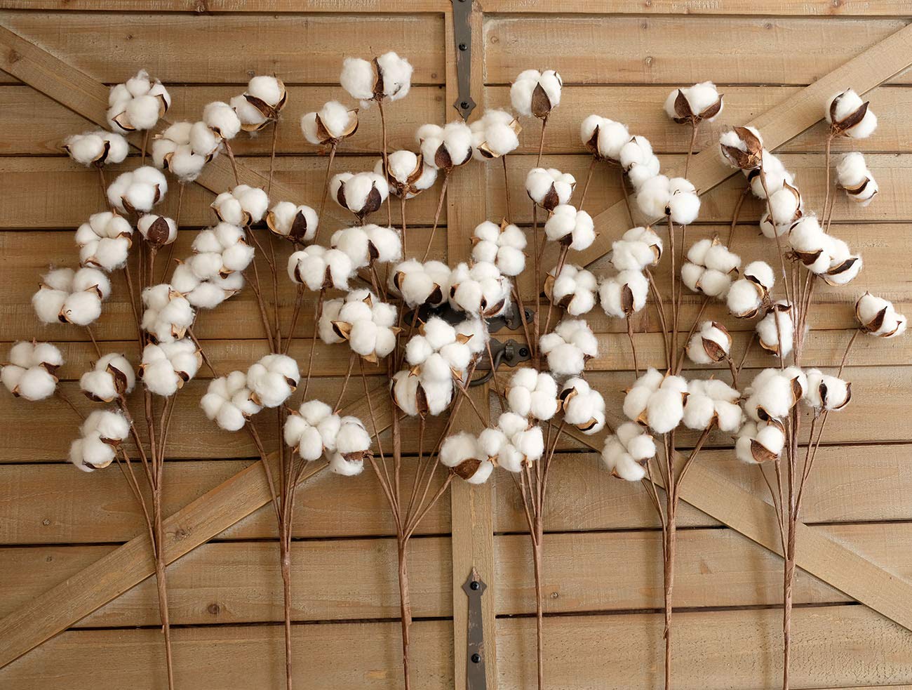 Idyllic cotton stems arranged in a vase for natural texture display