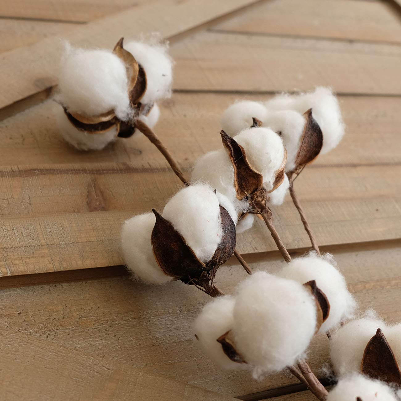 Idyllic cotton stems creating a wedding centerpiece with rustic appeal