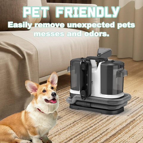 IEVENW pet stain cleaning test on fabric surfaces.