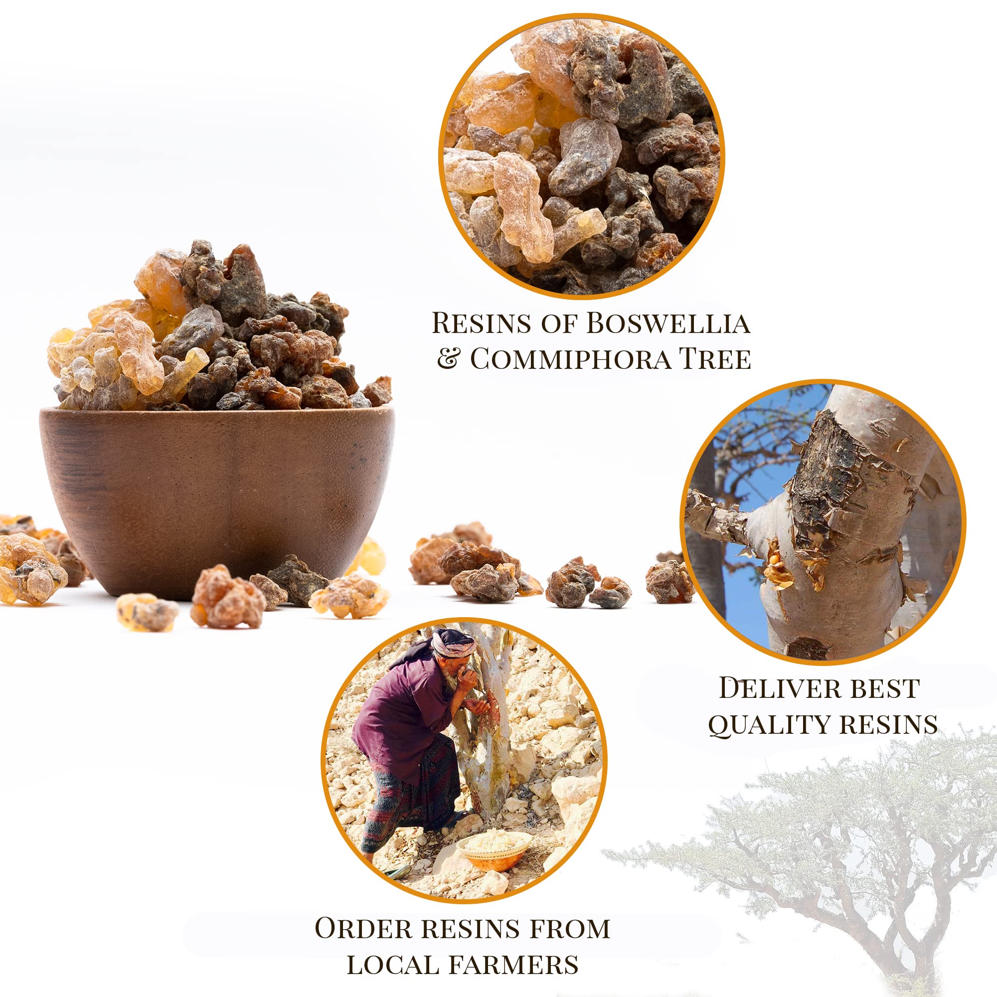 Igneous Frankincense and Myrrh gift packaging highlighting sacred heritage
