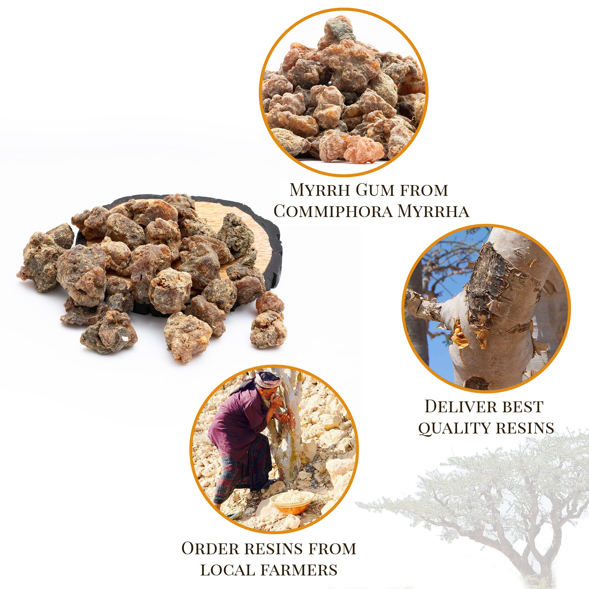 Igneous Products Myrrh resin label detail with premium Somaliland sourcing.