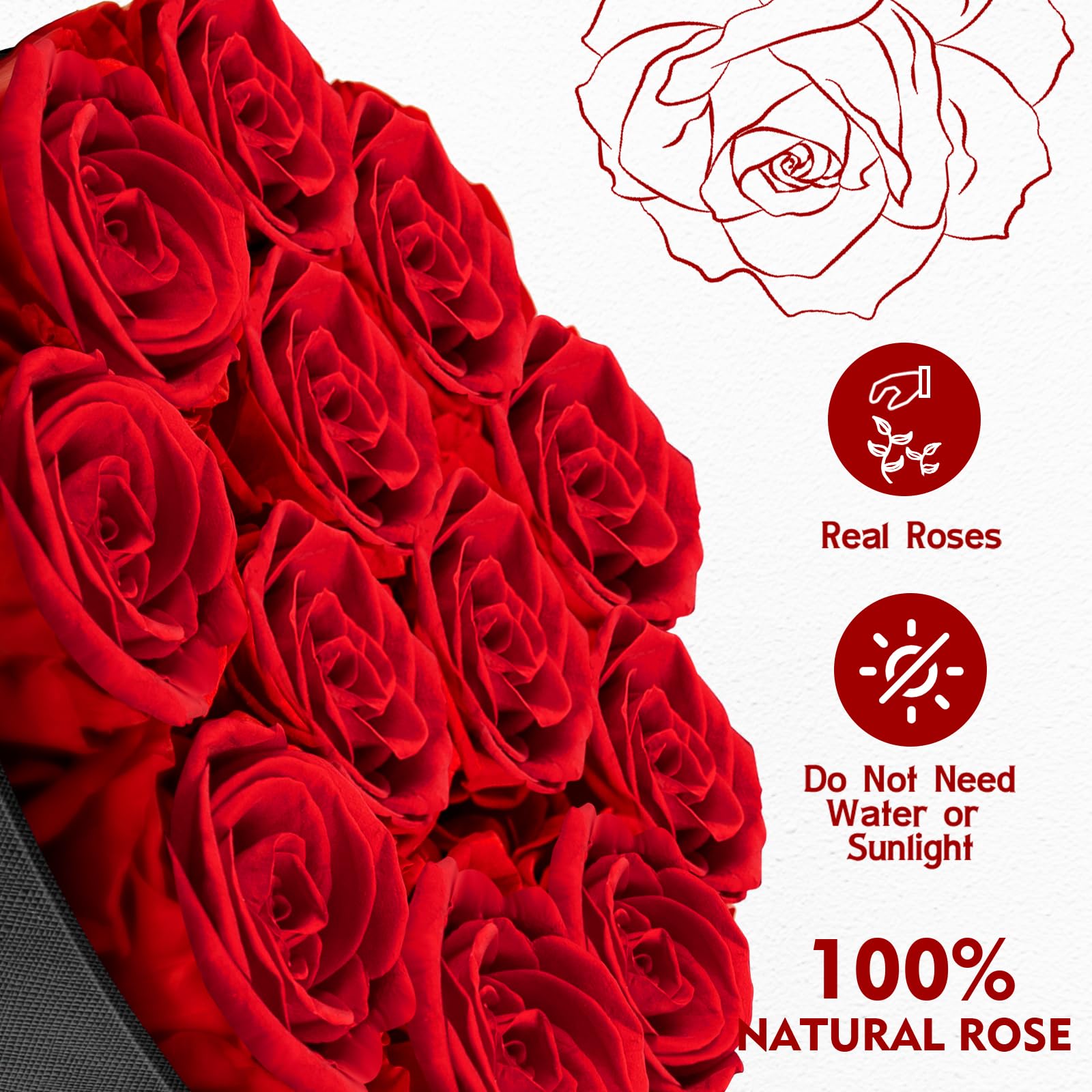 Impouo Forever Flowers seven color options offer versatile style choices.