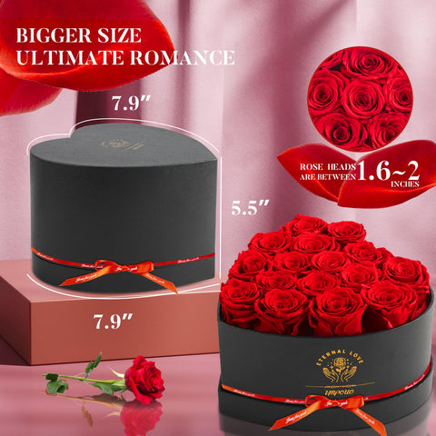 Impouo preserved rose close-up highlighting vibrant petals with minimal maintenance.