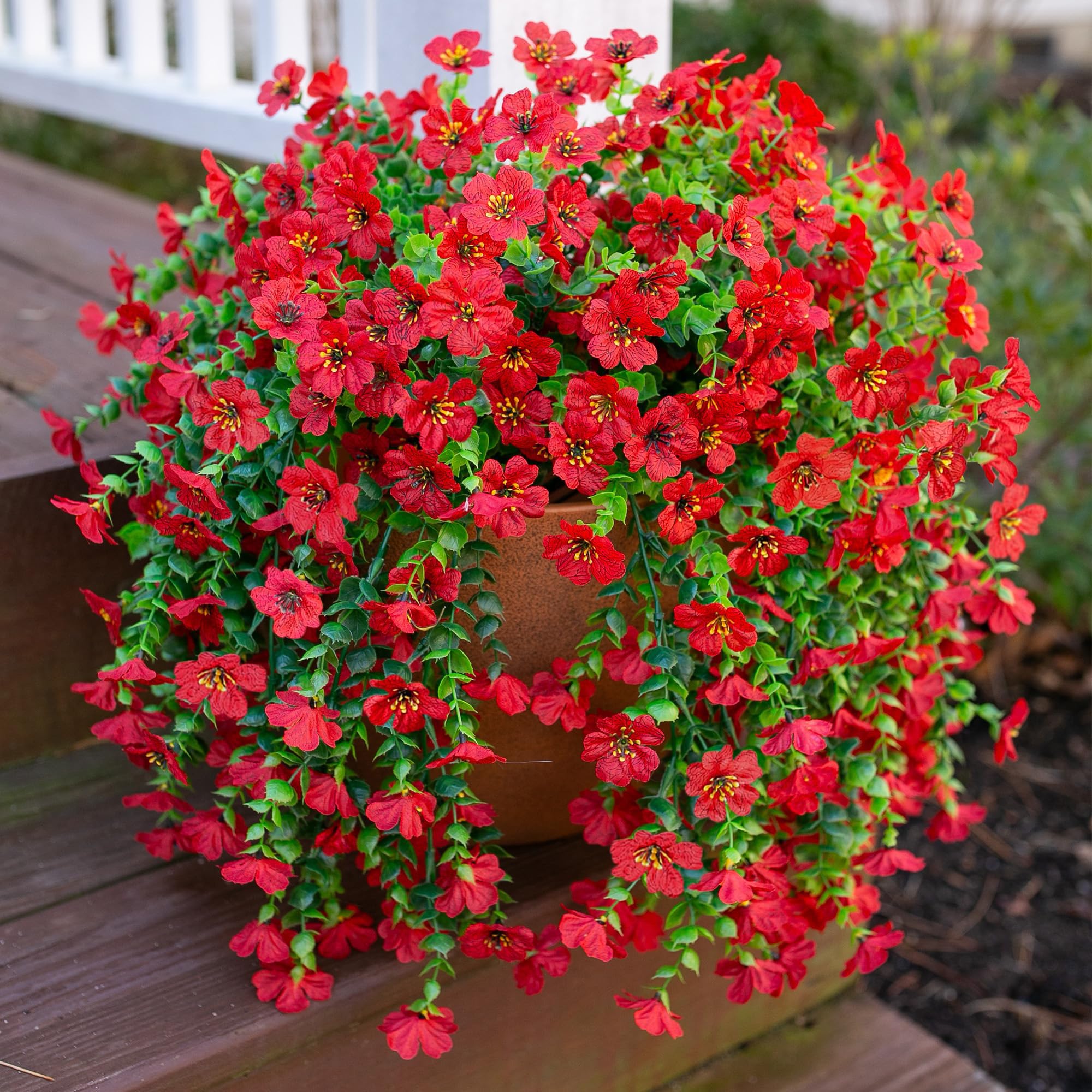 INSPRING red daisy hanging bundle adds vibrant porch color