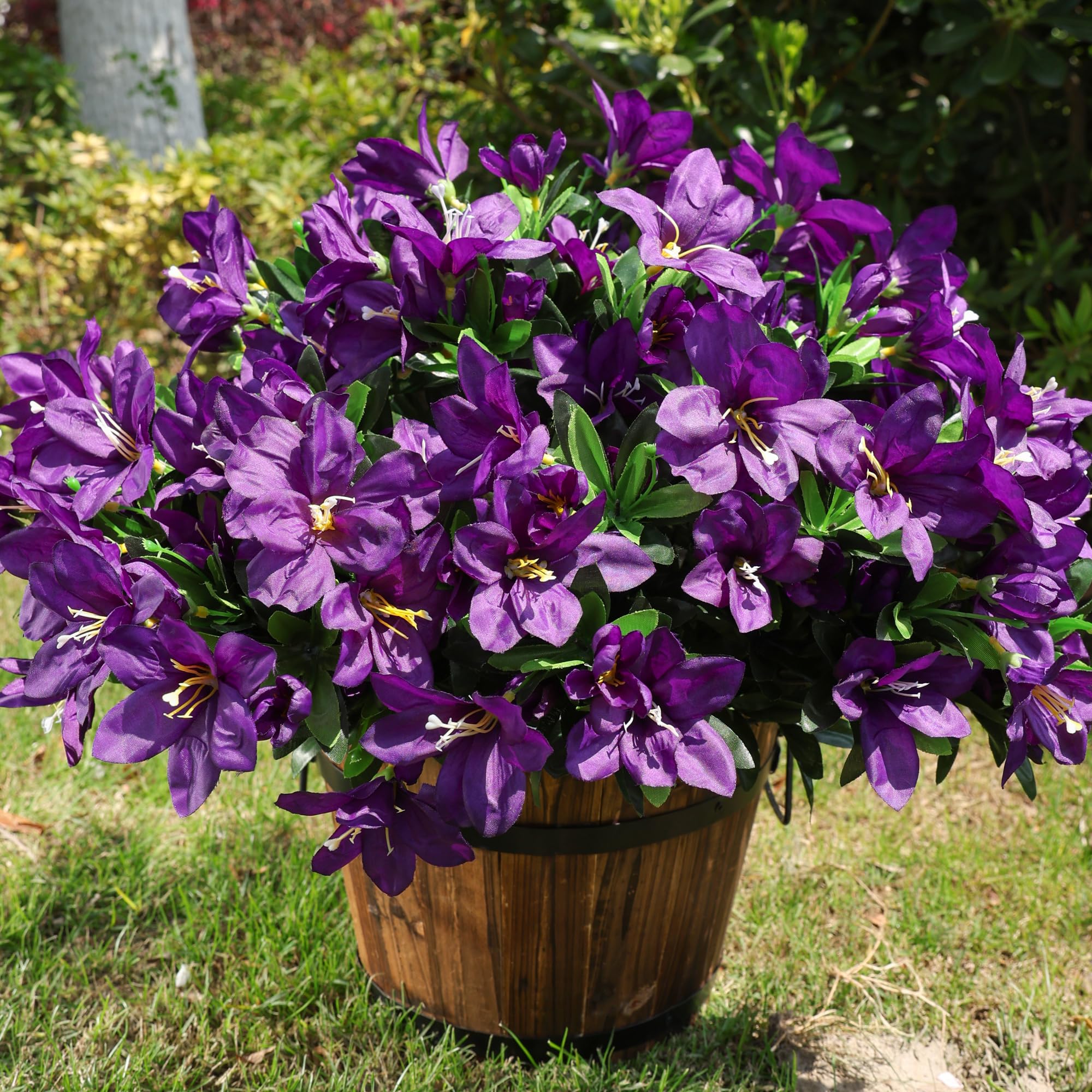 INSPRING garden border azalea adding vibrant color