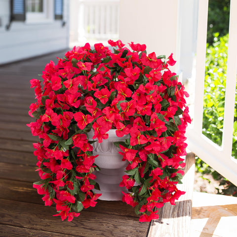 INSPRING silky bougainvillea foliage offers natural look and year-round charm