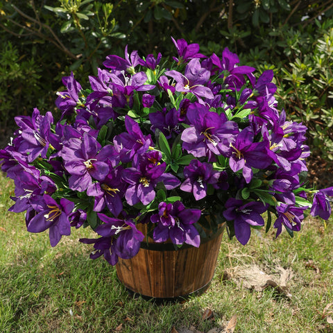 INSPRING weatherproof azalea designed for outdoor durability