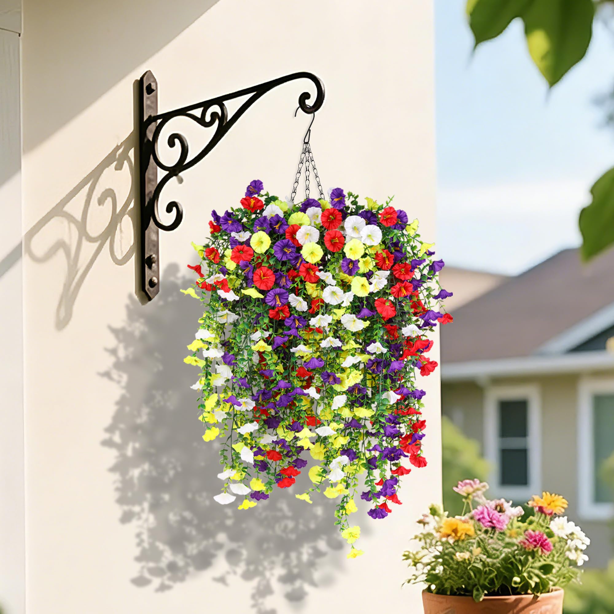 INQCMY Morning Glory UV-resistant outdoor view illustrating weather-ready blooms