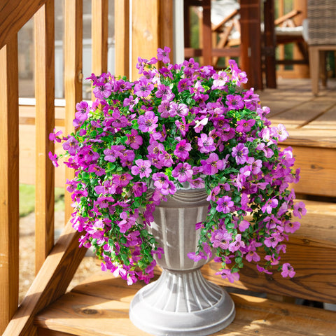 inspring vibrant purple violets elevate outdoor décor with natural appeal.