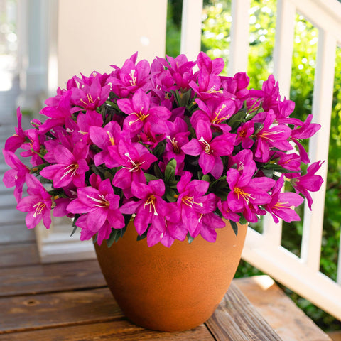 INSPRING azalea petals texture reveals lifelike folds and color shading.