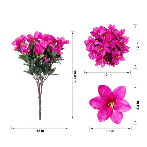 INSPRING azalea blooms catching sunlight, enhancing outdoor decor with brightness.