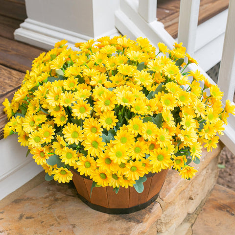 INSPRING front door porch decor with yellow daisies