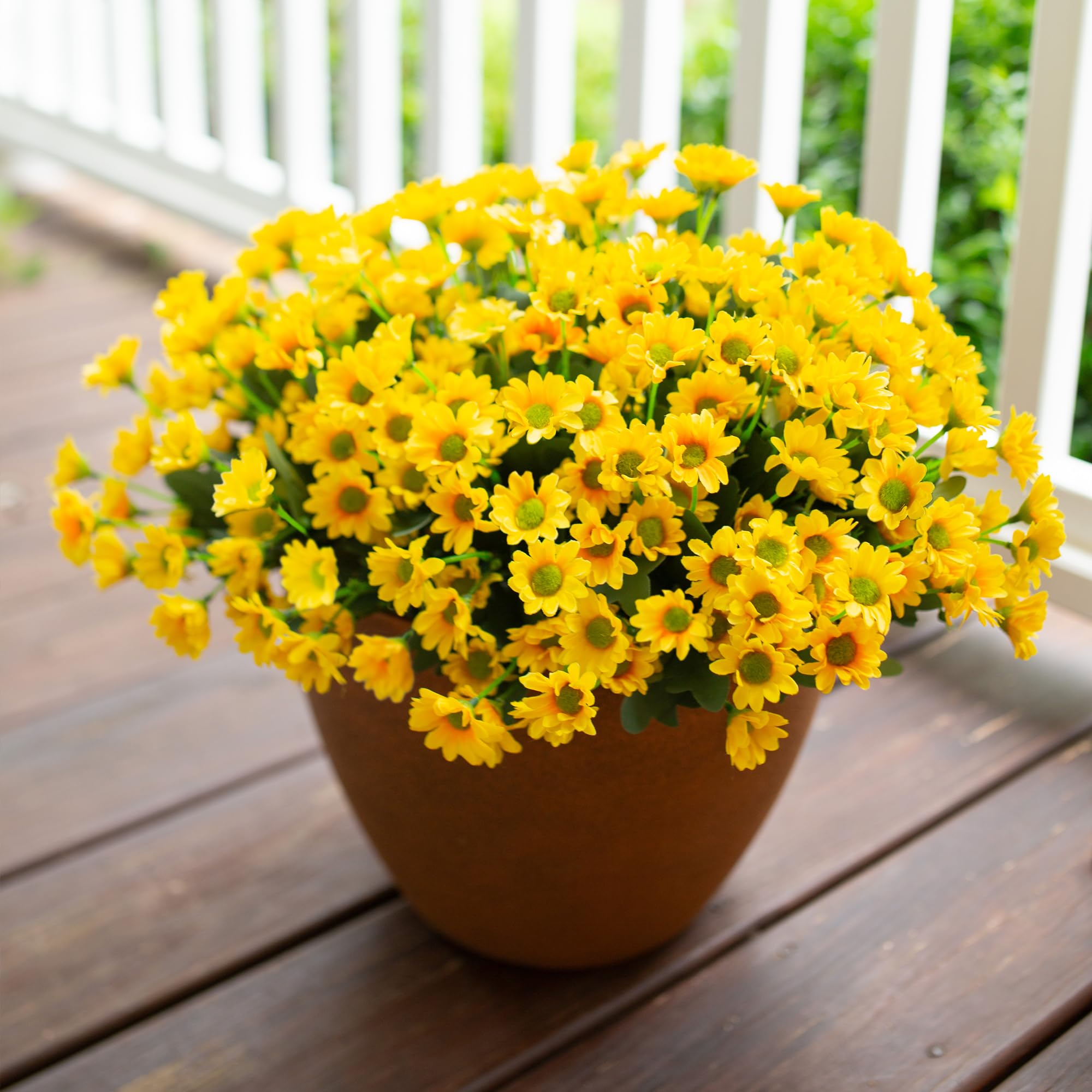INSPRING daisies in an outdoor planter for curb appeal