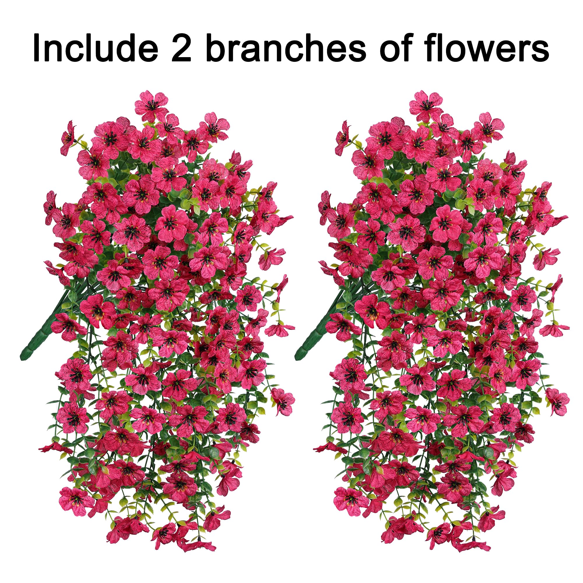 INSPRING daisy trailing vines perfect for porch decor and outdoor spaces.