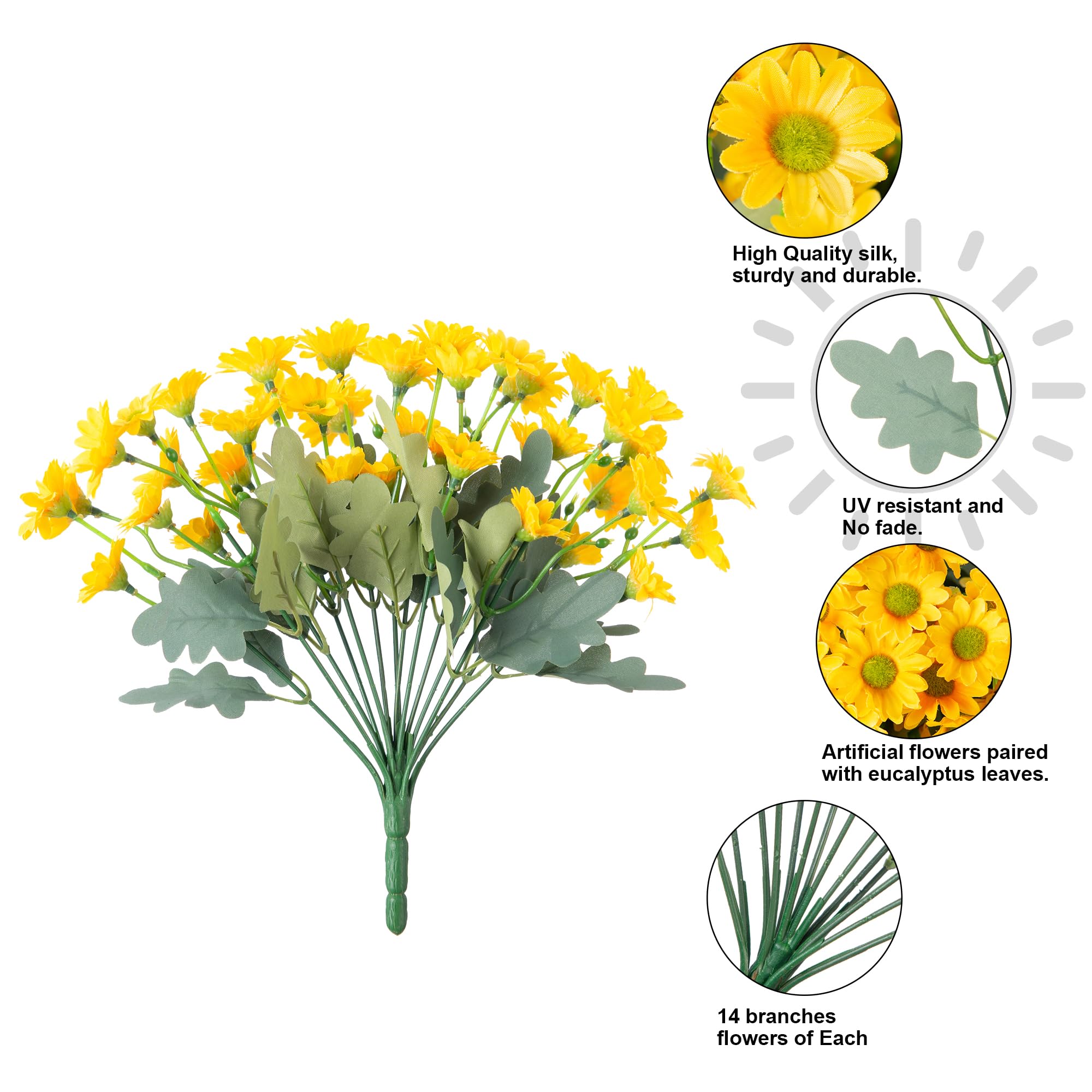 INSPRING UV-resistant daisy blooms stay vibrant in sun