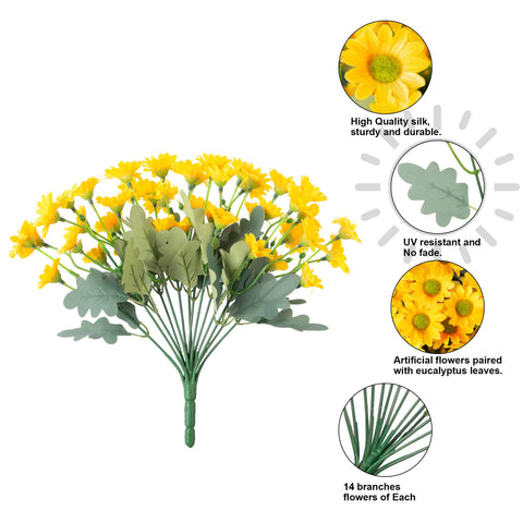 INSPRING UV-resistant daisy blooms stay vibrant in sun