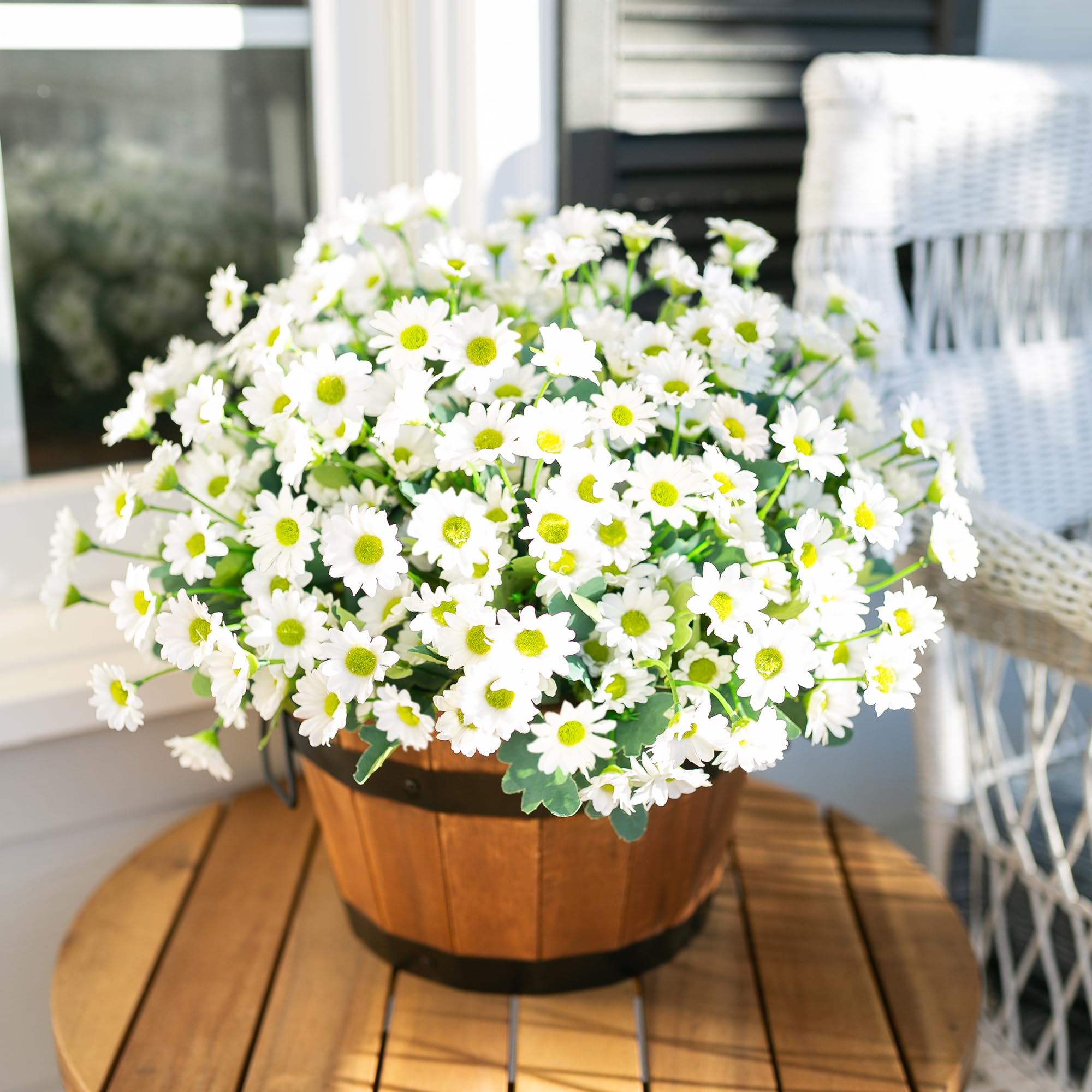 INSPRING white daisy close-up showing realistic petals and leaves