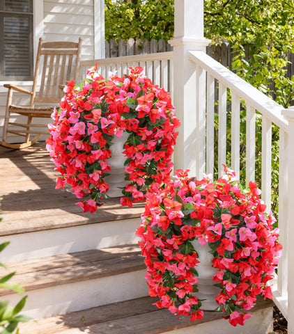 INSPRING bougainvillea greens and blooms detail for balcony or porch decor