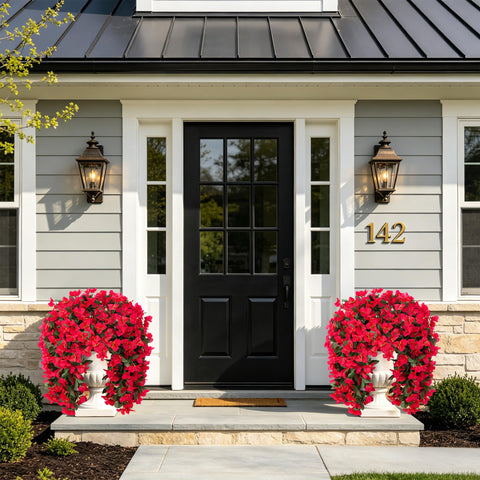 INSPRING red bougainvillea trailing vine on a sunlit doorway accent